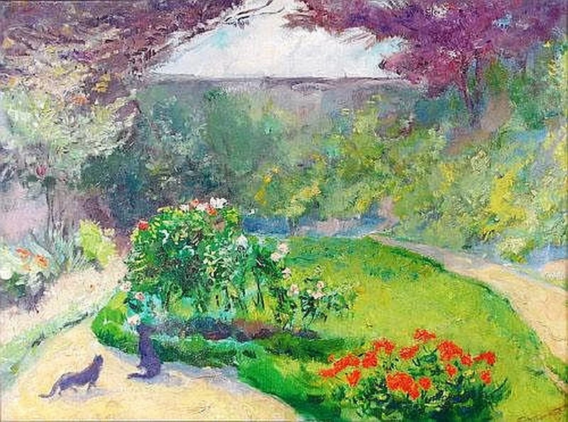 Gatti in un giardino estivo